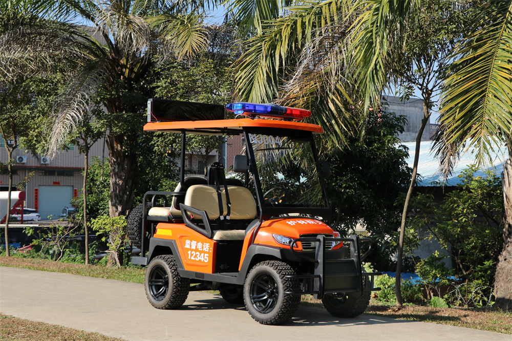 護(hù)林防火巡查車，電動(dòng)巡邏車