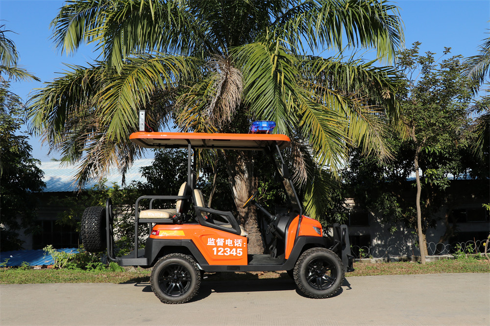 護(hù)林防火巡查車，電動(dòng)巡邏車